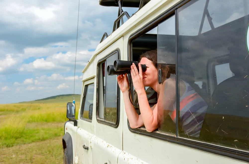 Die besten Orte, um den Afrikanische Wildkatze in Afrika zu sehen