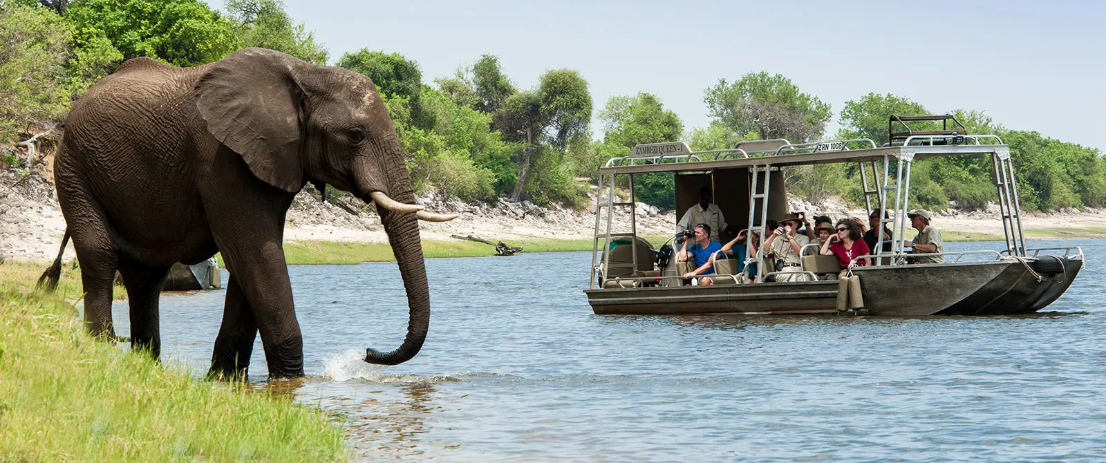 Die besten Orte, um den Löwe in Afrika zu sehen